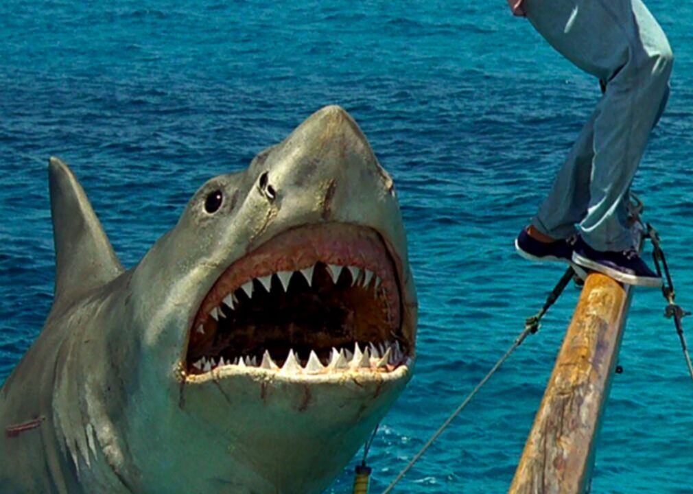 #5. Jaws: The Revenge (1987)